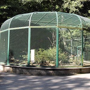 raccoon enclosure 050910