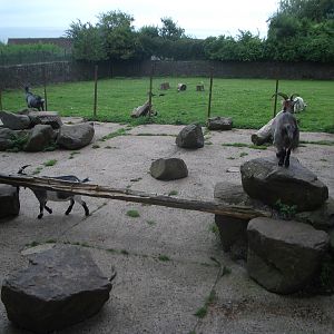 Paignton Zoo - 27.07.2010