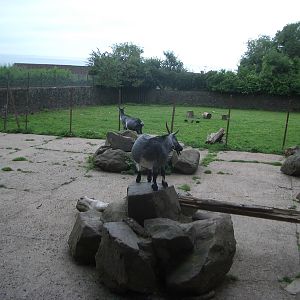 Paignton Zoo - 27.07.2010