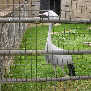Paignton Zoo - 27.07.2010