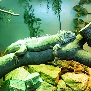 Bug House! - 07.08.2010