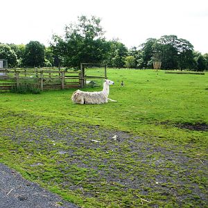 Lake Farm - 07.08.2010