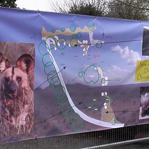 Hunting Dog Enclosure Plans - 31.10.2010