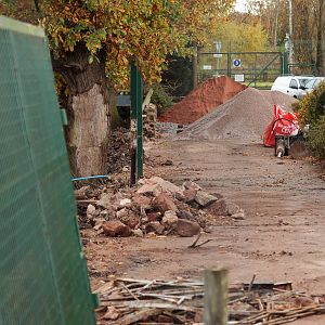 African Painted Dog Construction - 04/11/2010