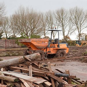 African Painted Dog Construction - 04/11/2010