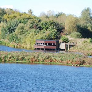 Sandwell Valley RSPB (Hide)