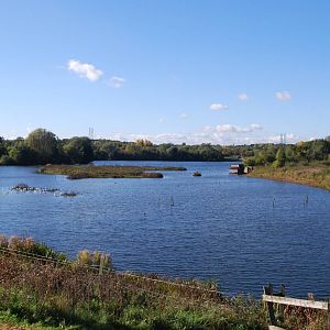 Sandwell Valley RSPB