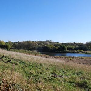 Sandwell Valley RSPB