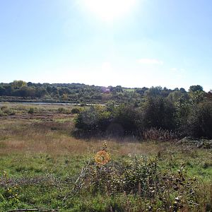 Sandwell Valley RSPB