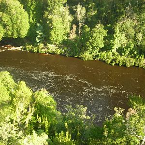 Tahune Forest Reserve