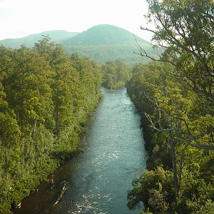 Tahune Forest Reserve