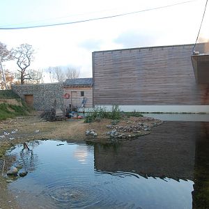Windows onto the Wild Aviary