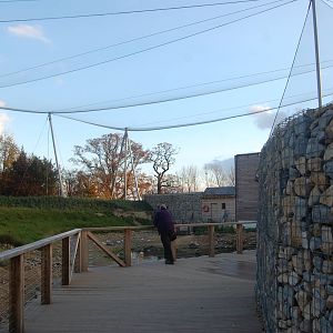 Windows onto the Wild Aviary