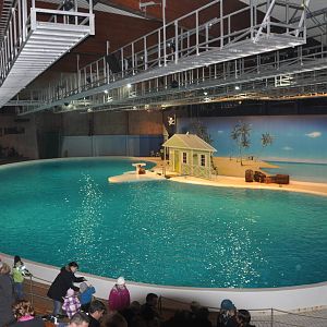 Dolphinarium -Show pool