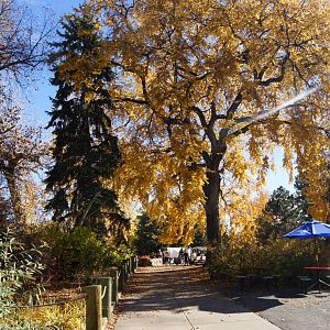 Path to Monkey Island