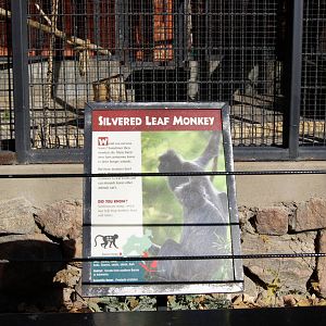 Silver Leaf Langur Sign