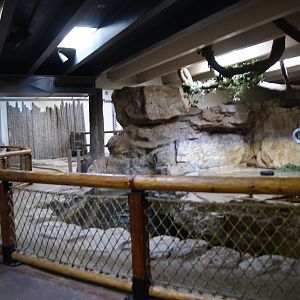 Indoor Tapir Exhibit