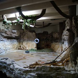 Indoor Tapir Exhibit