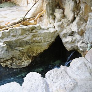 Tapir Pool filling up