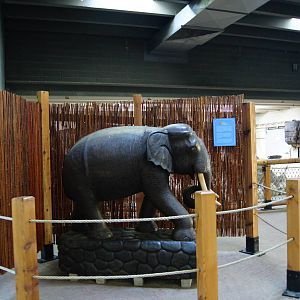 Asian Tropics Statue