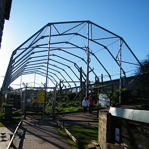 Walk through Condor and Vulture Aviary