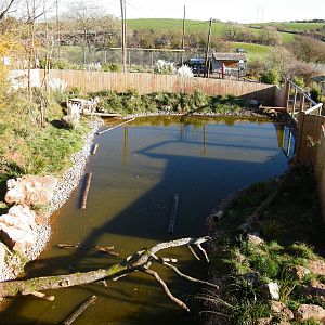 Giant Otter enclosure