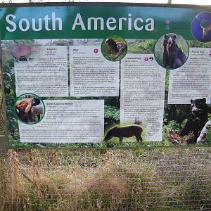 Mixed exhibit signage
