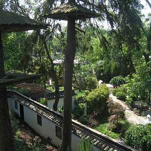 Chinese garden