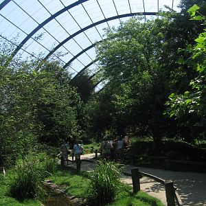 Giant Aviary