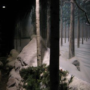 BPZ - Discovery Center