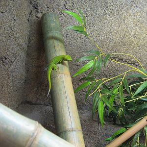 BPZ - Discovery Center