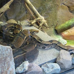 BPZ - Discovery Center