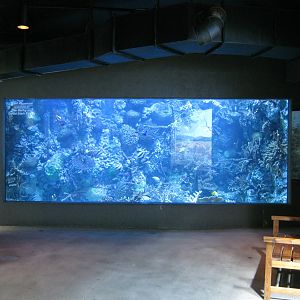 BPZ - Discovery Center