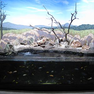 BPZ - Discovery Center