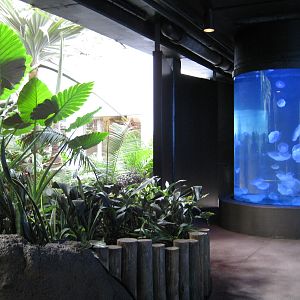 BPZ - Discovery Center