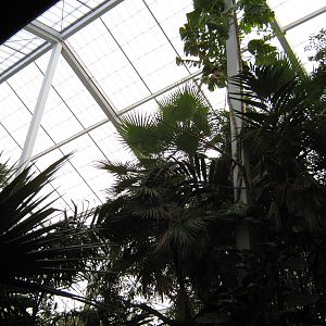 BPZ - Discovery Center