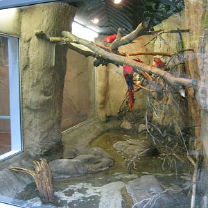 BPZ - Discovery Center