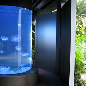 BPZ - Discovery Center