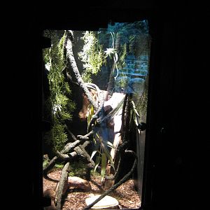 BPZ - Discovery Center