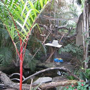 BPZ - Discovery Center