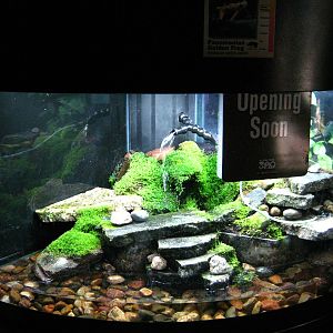 BPZ - Discovery Center