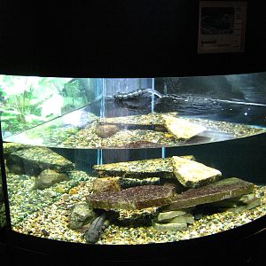 BPZ - Discovery Center