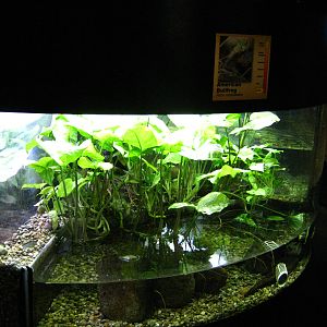 BPZ - Discovery Center