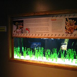BPZ - Discovery Center