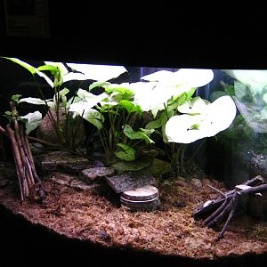 BPZ - Discovery Center