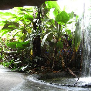 BPZ - Discovery Center