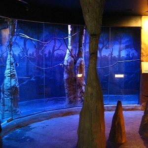 BPZ - Discovery Center