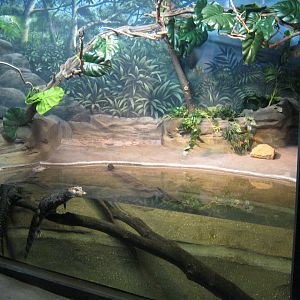 BPZ - Discovery Center