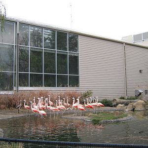 BPZ - Outdoor exhibits, grounds