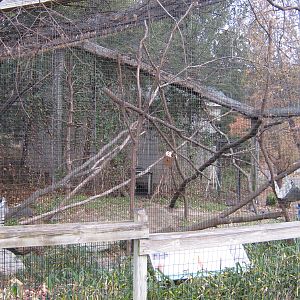 BPZ - Outdoor exhibits, grounds